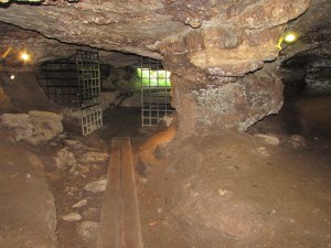 Under Blarney Castle