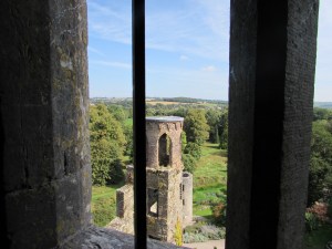 Blarney Castle window view